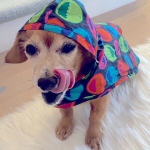 Waterproof Packable Rain Poncho for your dog. Lightweight and adjustable.